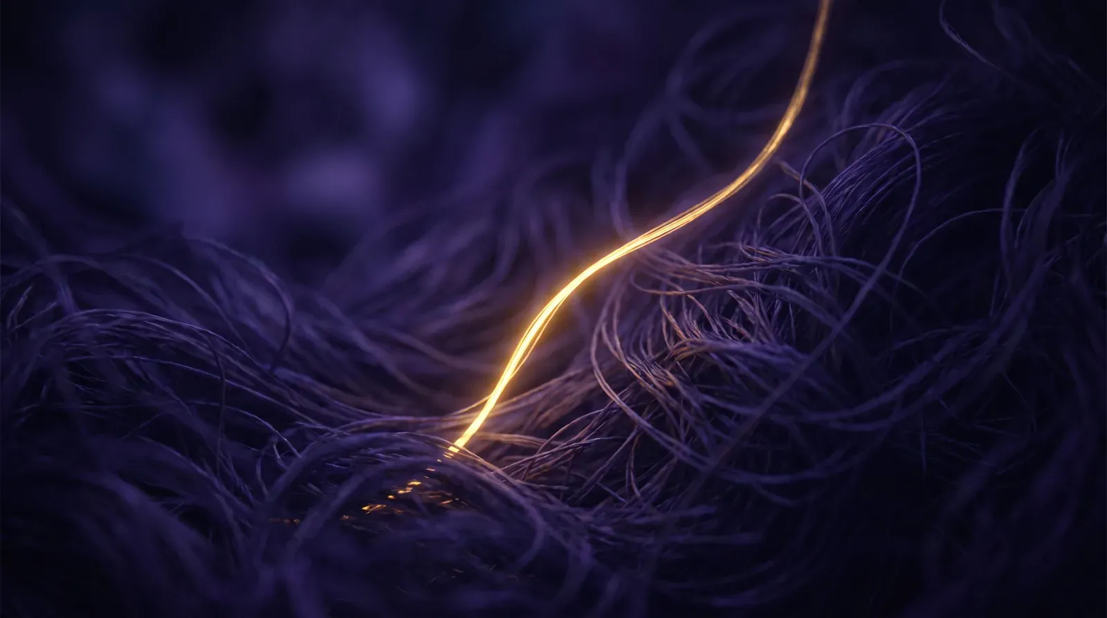 Un único hilo dorado iluminado entre miles de hilos violetas enmarañados en la penumbra, metáfora de la atención selectiva